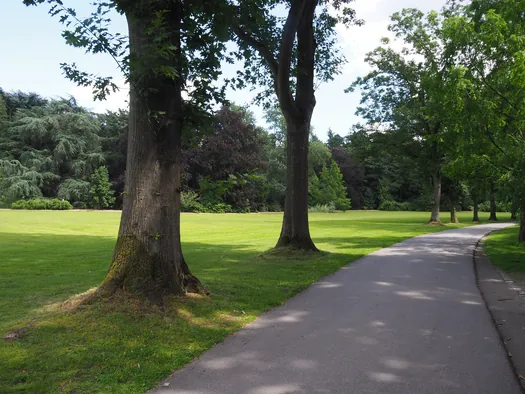 Fietsen en wandelen door het water van de Wijers, Bokrijk (België)